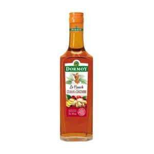 Punch Gingembre Guarana 18° 70cl Dormoy