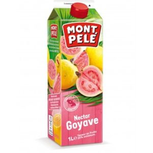 Nectar Goyave Brique 1l Montpele